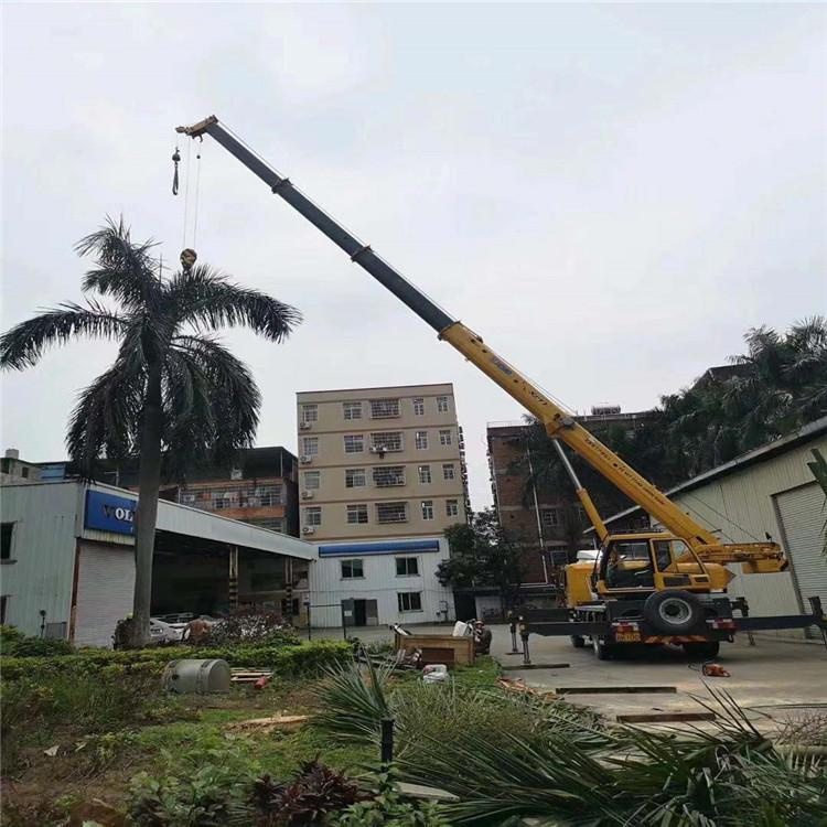 乐安县汽车吊出租多少钱？全面解析与市场行情